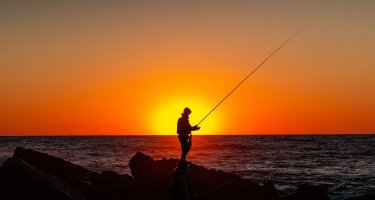 As 7 formas de phishing mais comuns e como evitá-las